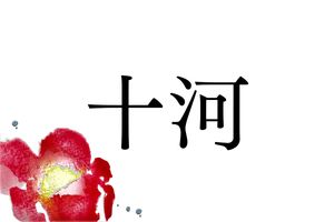歴史好きなら読める難読名字「十河」。古代から続く系譜です