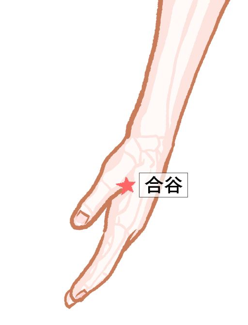 合谷（ごうこく）：大腸経のツボ