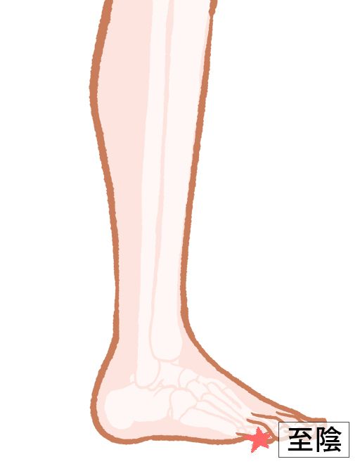 至陰（しいん）：膀胱経のツボ