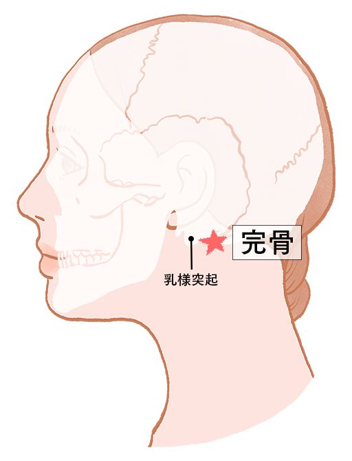 完骨（かんこつ）：胆経のツボ