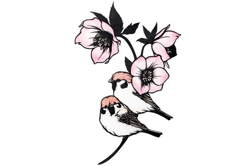 地球温暖化とヒトの行動を考える　動物行動学者が語る、野生生物と人間【いのちに想う】