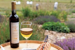 『赤毛のアン』の故郷、プリンス・エドワード島へ。自然豊かな農園でハニーワインを堪能する