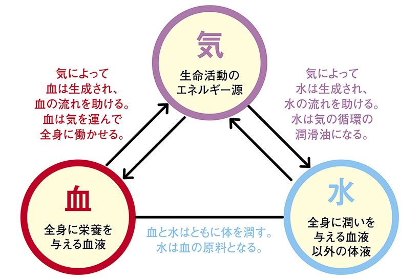気・血・水のうち、最も重要なのは生命活動のエネルギー源であり、生命を維持する機能のすべてを担っている「気」です。気をベースに血と水が連動して働き、全身に栄養を届けたり、潤いを与えたりしています。この3つのバランスが保たれていることがとても重要で、それにより真の健康を得られるのです。