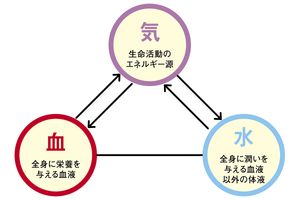気・血・水のバランスがくずれると慢性的な疲労が続く原因に。特に気の不足に注意