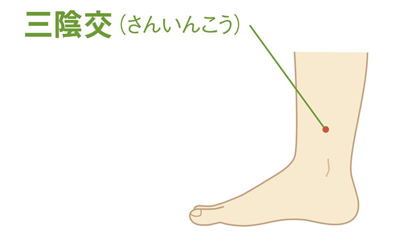 三陰交（さんいんこう）