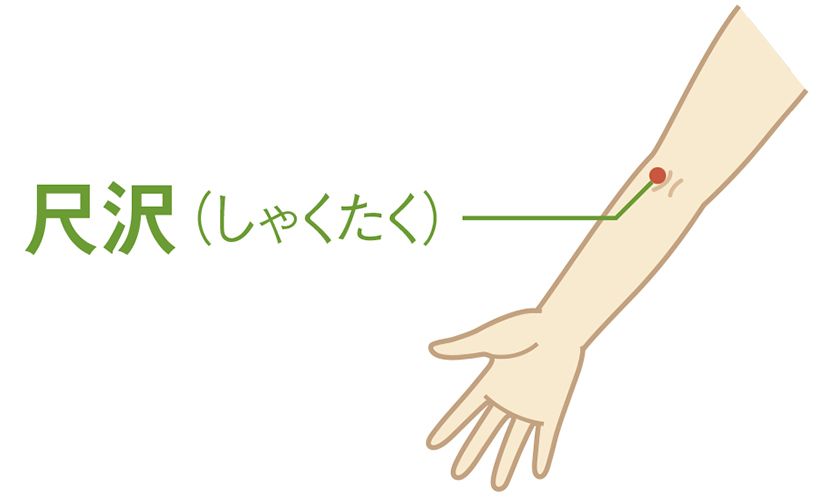 尺沢（しゃくたく）