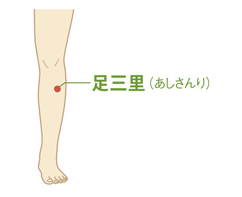 足三里（あしさんり）