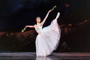 新国立劇場バレエ団、ロンドンへ。ミルタ役・吉田朱里さんに特別インタビュー