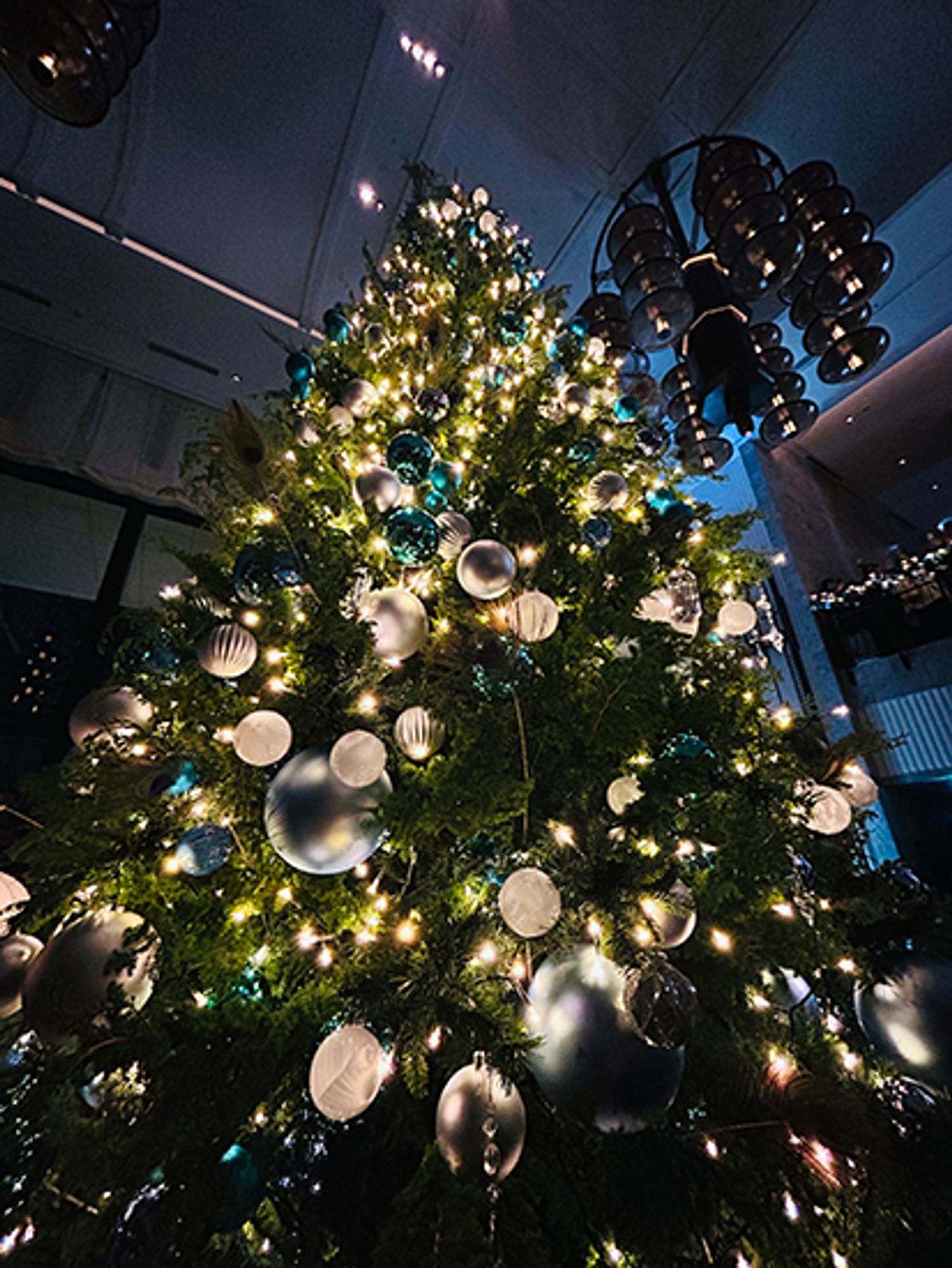 ギャラリー画像