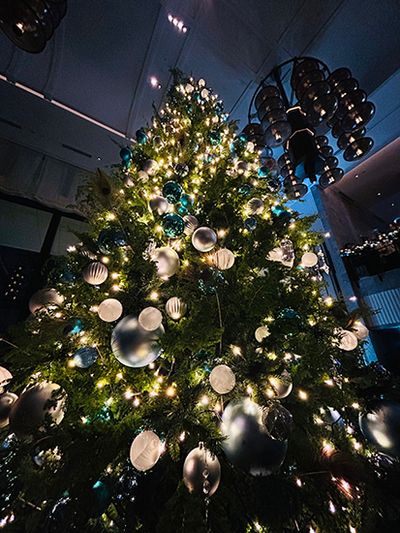 ギャラリー画像