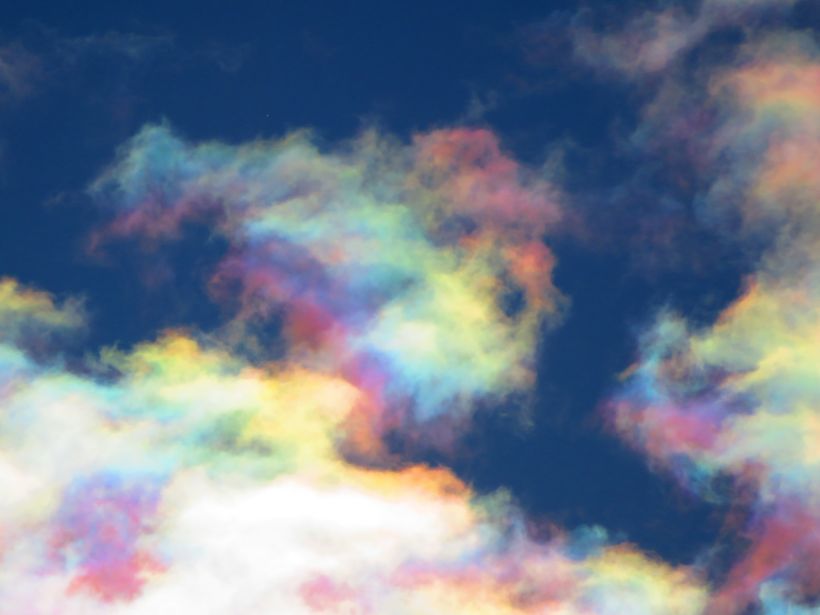 写真／荒木健太郎