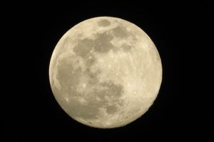 1月3日は新年最初の満月。「ウルフムーン」の由来と観察できる時間は？