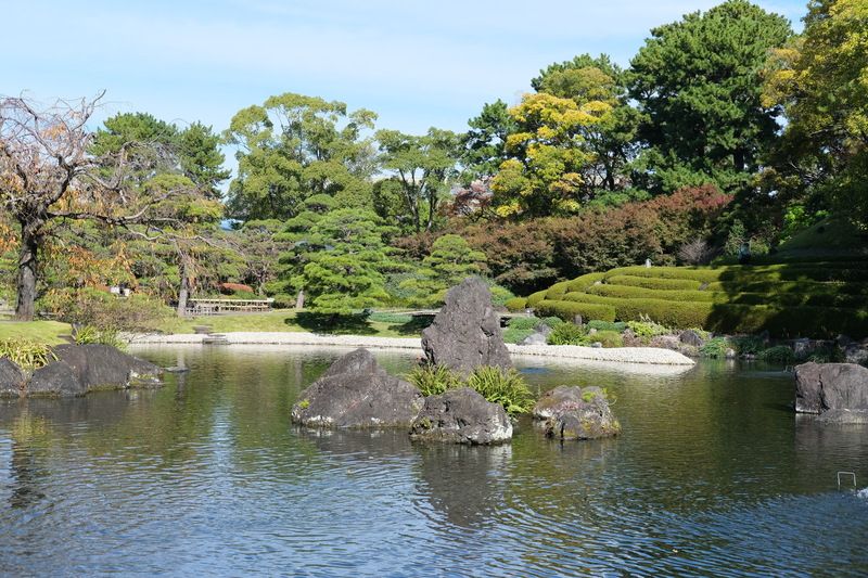 四季折々の表情を味わえる紅葉山庭園