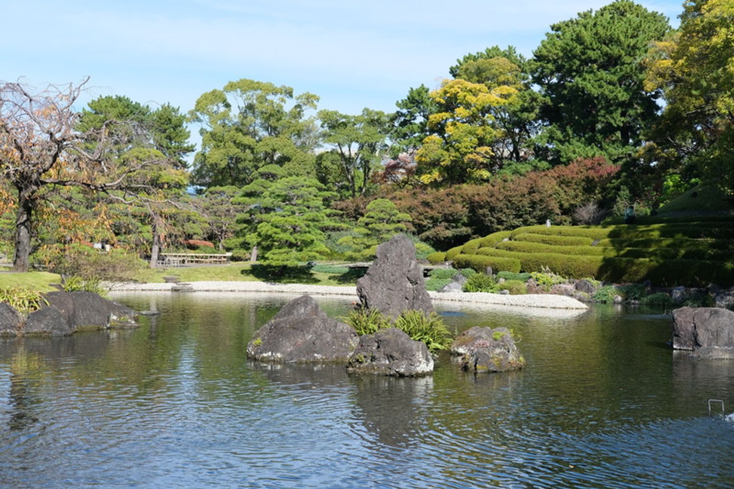 四季折々の表情を味わえる紅葉山庭園