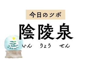 「陰陵泉」は水の性質を持つツボ。むくみや下痢、消化不良、排尿の悩みに効きます