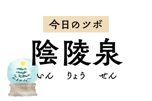 「陰陵泉」は水の性質を持つツボ。むくみや下痢、消化不良、排尿の悩みに効きます