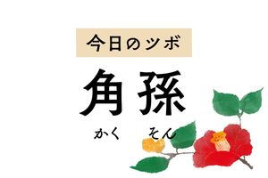 局所の熱を冷ます効能がある「角孫」。耳の腫れや痛み、頭痛、目の充血に作用します