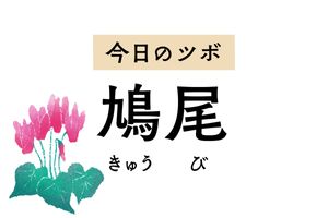 「鳩尾」はメンタル不調やてんかん、喘息に用いるツボ。「鳩」はハトではありません
