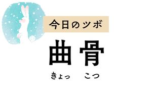 恥骨にある「曲骨」は月経不順、月経痛、不妊症、膀胱炎などに役立つツボです