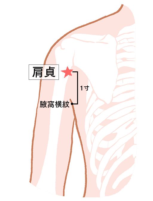 肩貞（けんてい）：小腸経のツボ