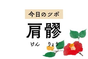 「肩髎」は五十肩の治療に用いる肩三穴の一つ。肩関節痛や腕全体の痛みを和らげます