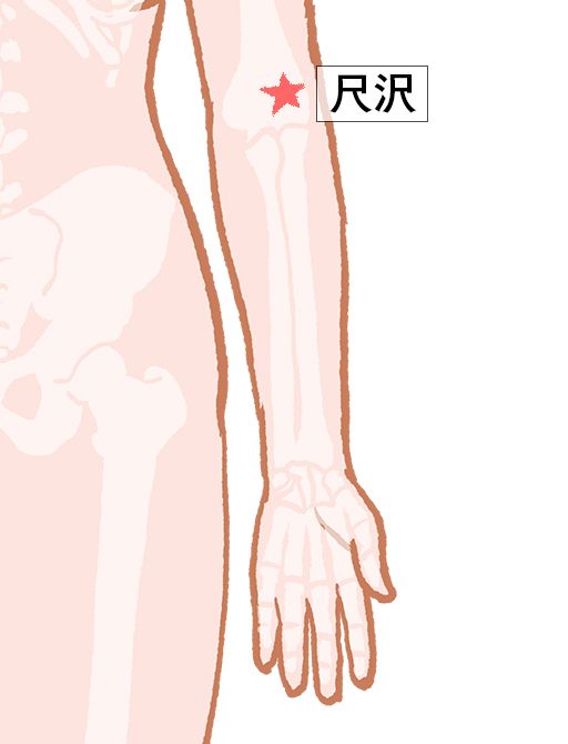 尺沢（しゃくたく）：肺経のツボ