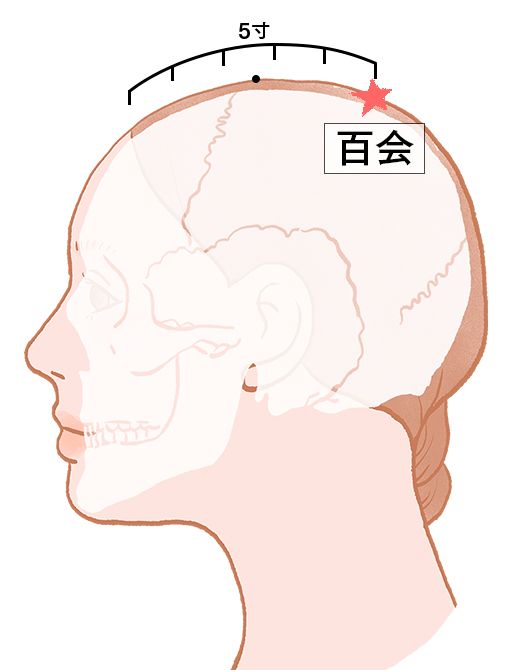 百会（ひゃくえ）：督脈のツボ