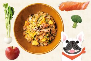 薬膳ってどんなもの？愛犬の健康を育む薬膳の基礎知識と手作り食のメリット