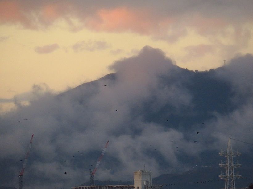 写真／荒木健太郎