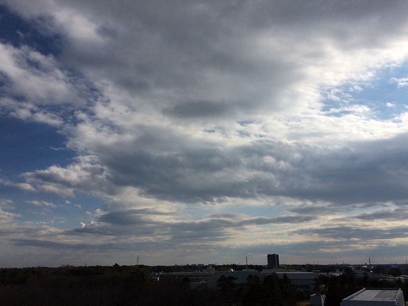 写真／荒木健太郎