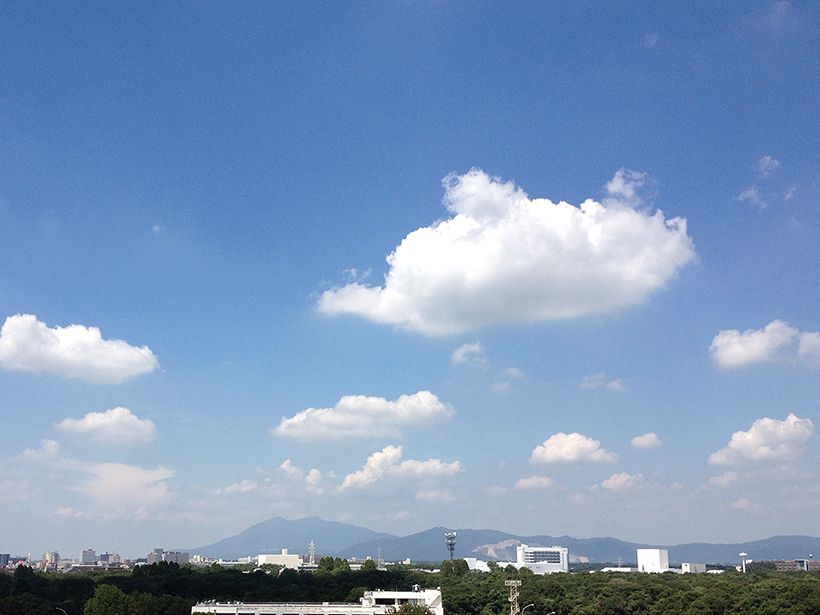 写真／荒木健太郎