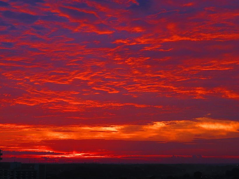 写真／荒木健太郎