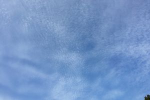 小さな粒状の「巻積雲」。高い空に広がり、うろこ雲やいわし雲とも呼ばれます