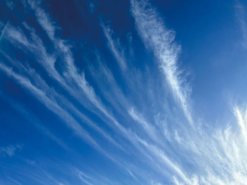 写真／荒木健太郎