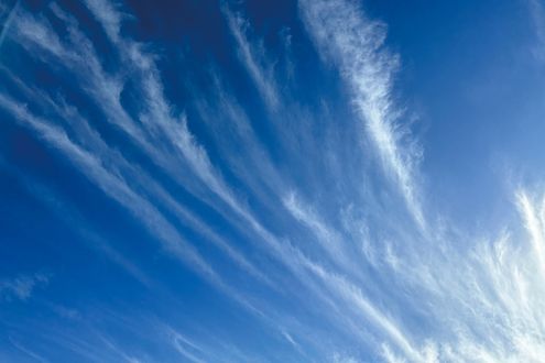 「しらす雲（巻雲）」の名は魚と無関係。お天気博士が名付けた由来を解説