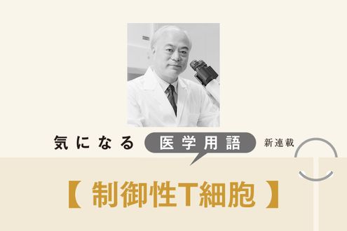 自己免疫疾患やアレルギー、臓器移植、がん治療に新たな可能性をもたらす「制御性T細胞」