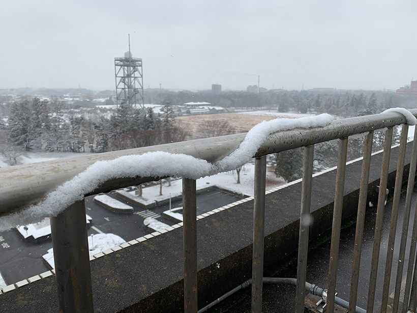 写真／荒木健太郎