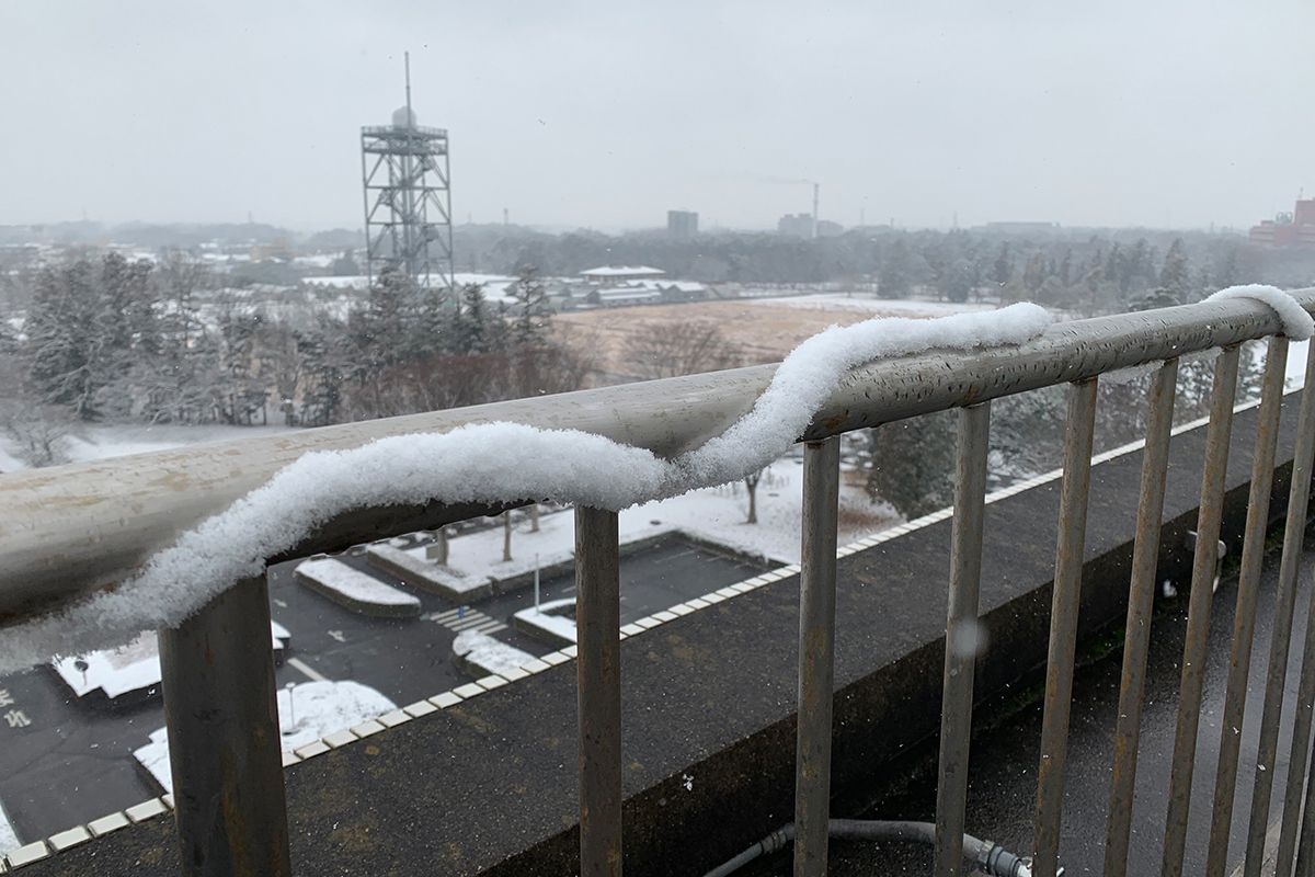 まるで雪の芸術作品。「雪紐」はどうやってできている？