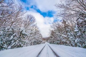 大雪情報の確認方法を解説。雪道を通る外出には改めて注意を