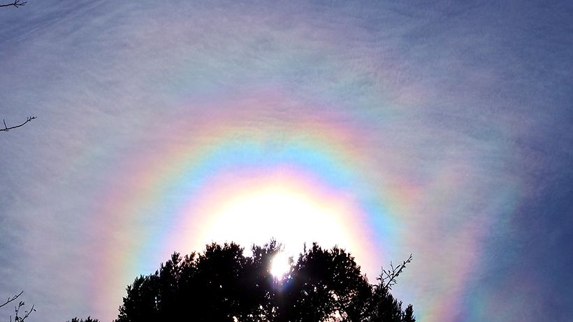 写真／川村にゃ子