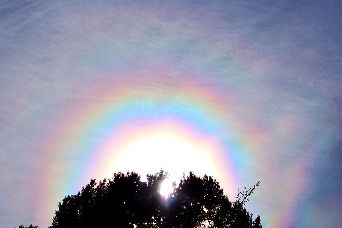 太陽のまわりに見える幻想的な「光環」。出合いやすい天気と観察の仕方