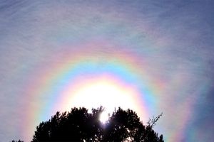 太陽のまわりに見える幻想的な「光環」。出合いやすい天気と観察の仕方