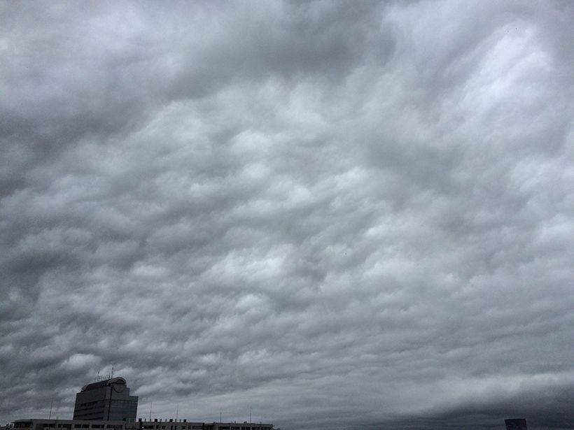 写真／荒木健太郎