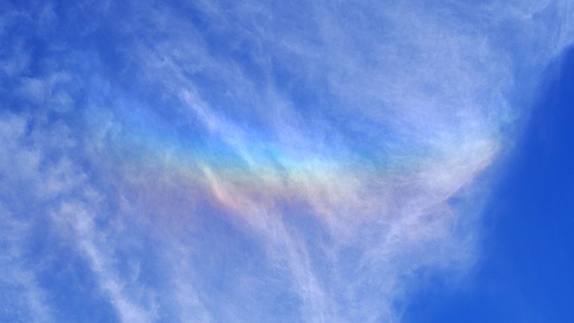 写真／川村にゃ子