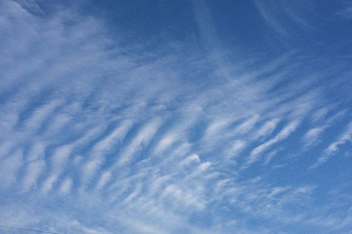 見慣れない形の雲も、仕組みを知るともっと面白い！ 波模様を描く「波状雲」とは