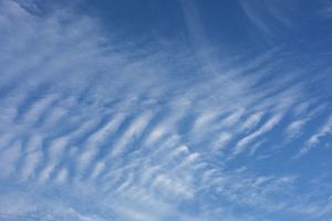 見慣れない形の雲も、仕組みを知るともっと面白い！ 波模様を描く「波状雲」とは