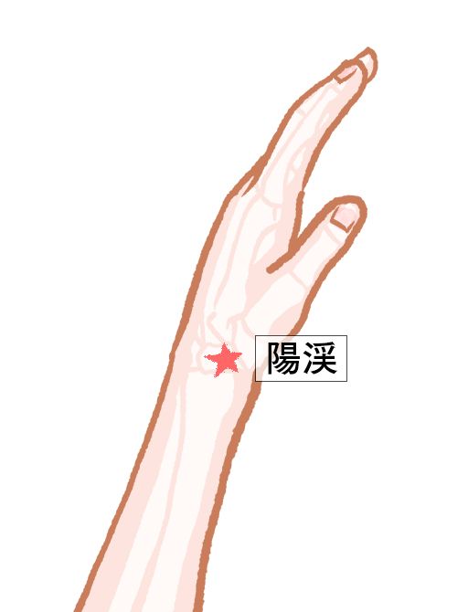 陽渓（ようけい）：大腸経のツボ