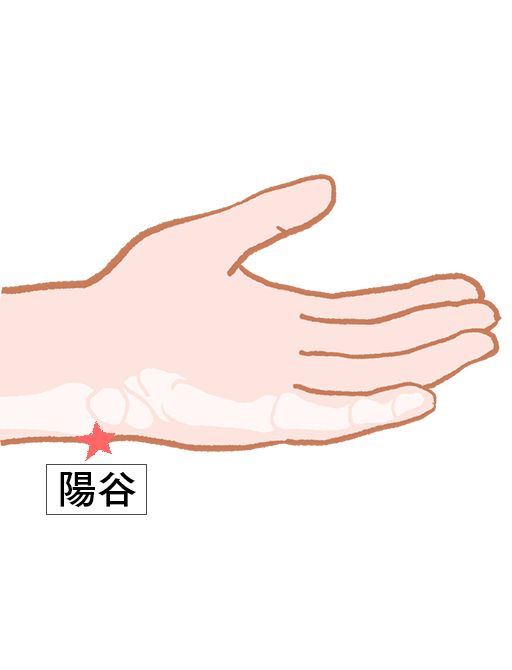 陽谷（ようこく）：小腸経のツボ
