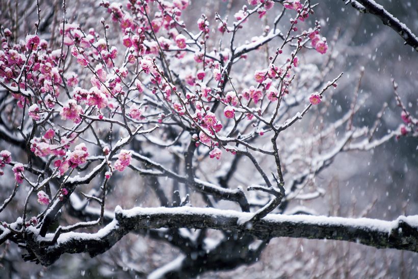 写真／ myth9for / PIXTA（ピクスタ）