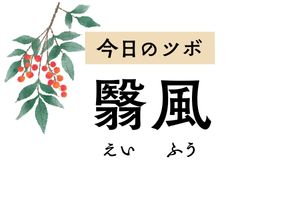 耳の近くにあるツボ「翳風」は耳鳴り、難聴、下の歯痛にピンポイントで効きます